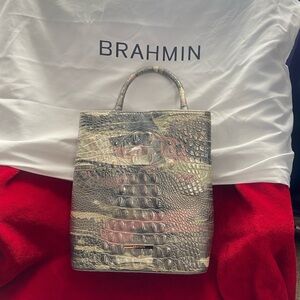 Brahmin purse